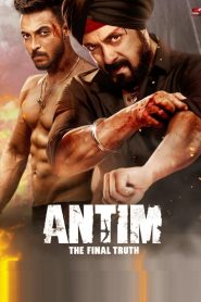 Antim: The Final Truth